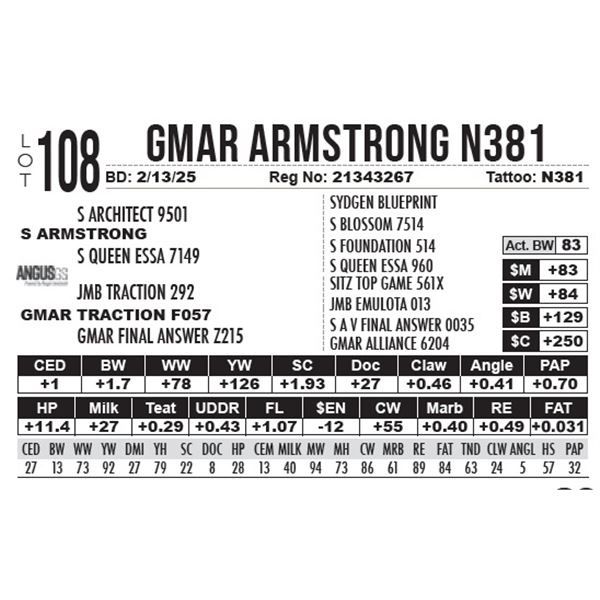 GMAR Armstrong N381