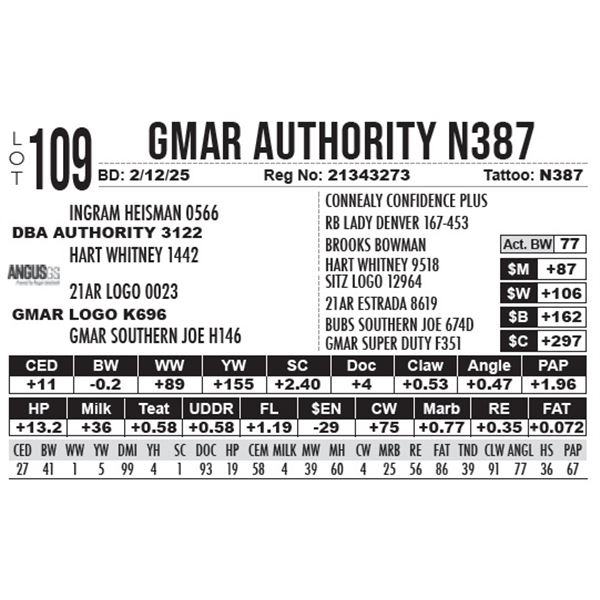 GMAR Authority N387