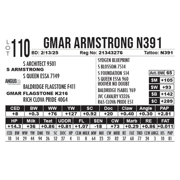 GMAR Armstrong N391