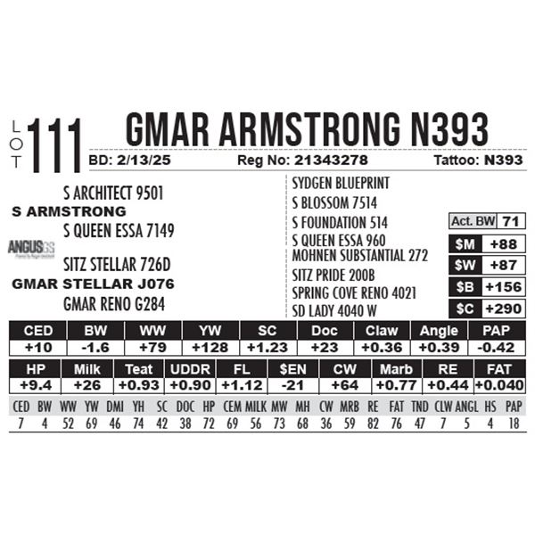 GMAR Armstrong N393
