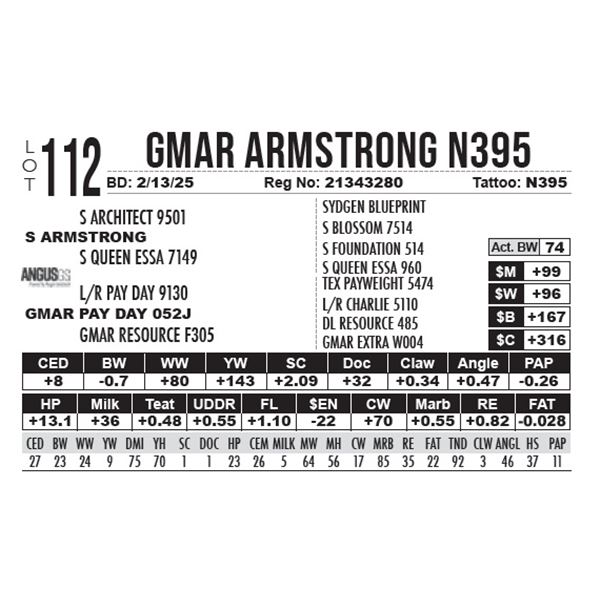 GMAR Armstrong N395