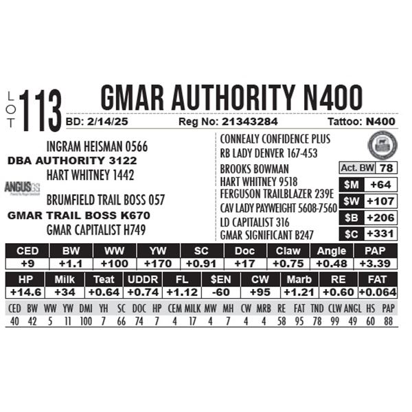GMAR Authority N400