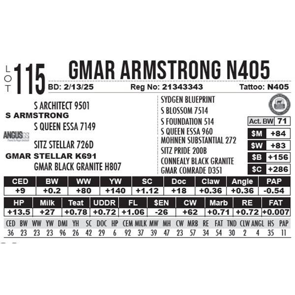 GMAR Armstrong N405