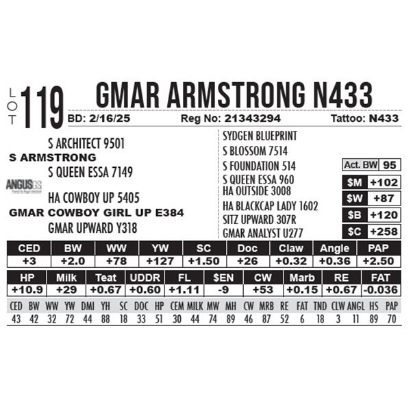 GMAR Armstrong N433