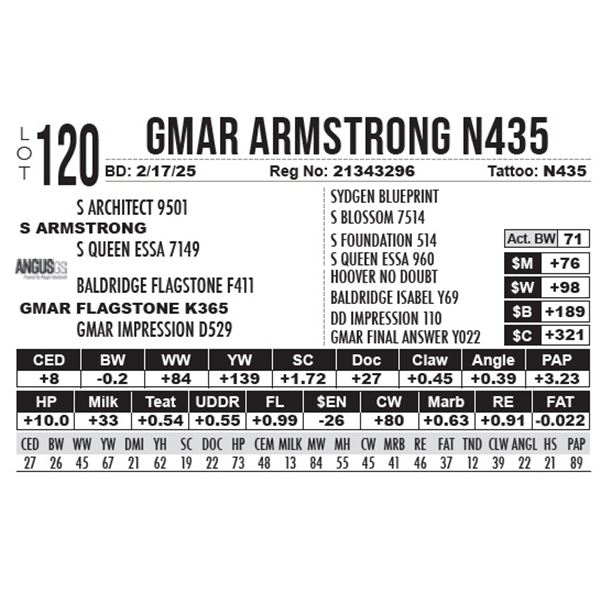 GMAR Armstrong N435