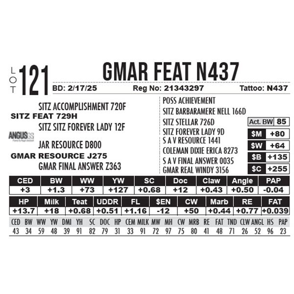 GMAR Feat N437