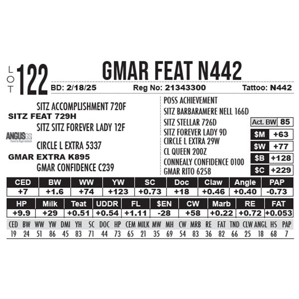 GMAR Feat N442