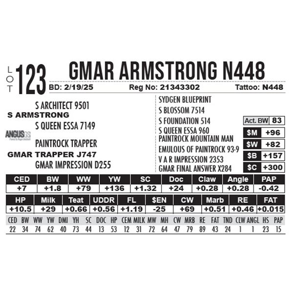 GMAR Armstrong N448
