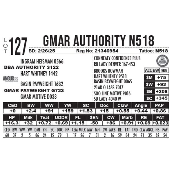 GMAR Authority N518
