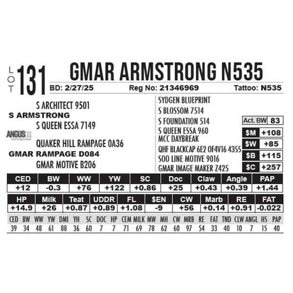 GMAR Armstrong N535
