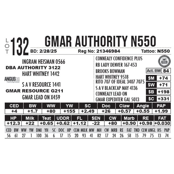 GMAR Authority N550