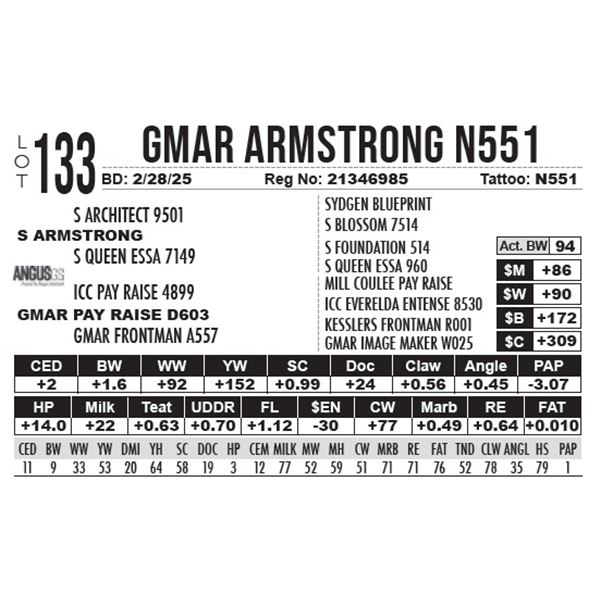 GMAR Armstrong N551