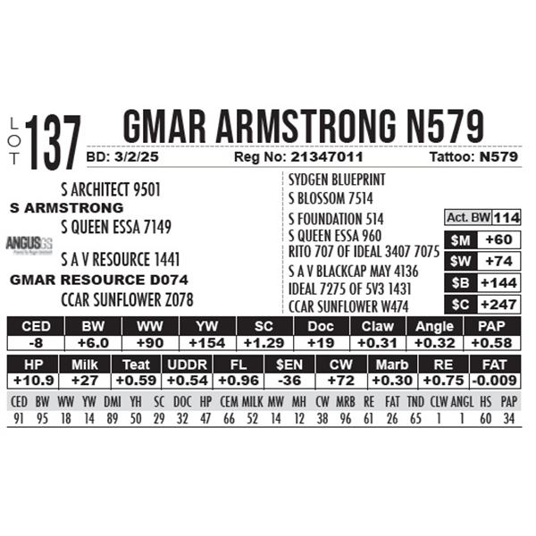GMAR Armstrong N579
