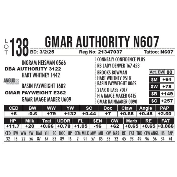 GMAR Authority N607