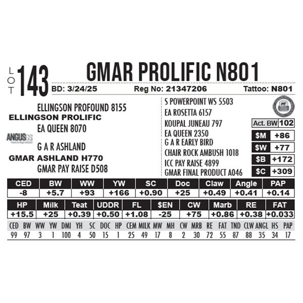GMAR Prolific N801