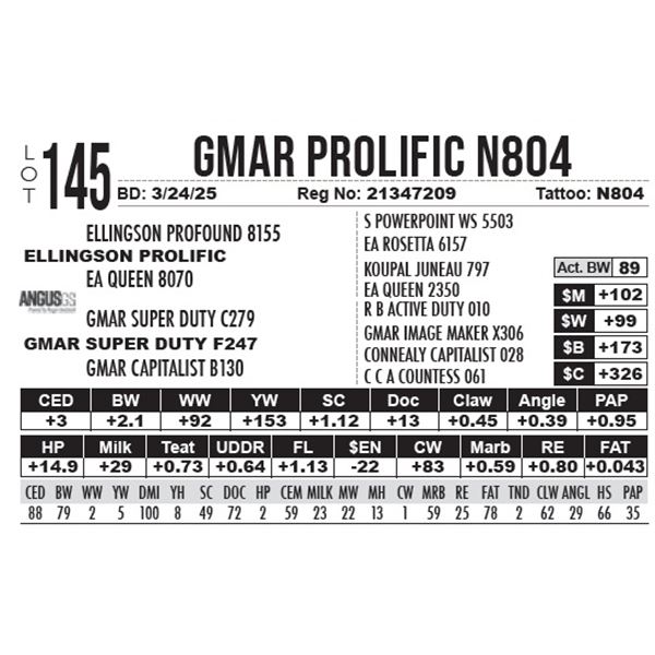 GMAR Prolific N804