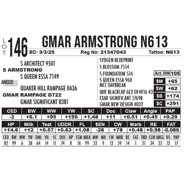 GMAR Armstrong N613