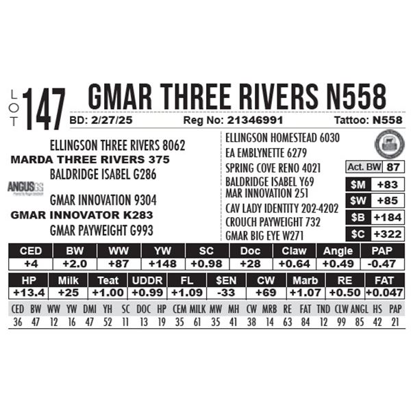 GMAR Three Rivers N558