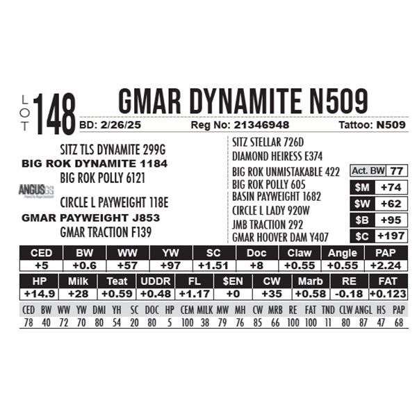 GMAR Dynamite N509