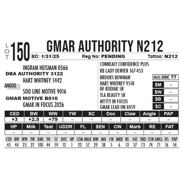 GMAR Authority N212
