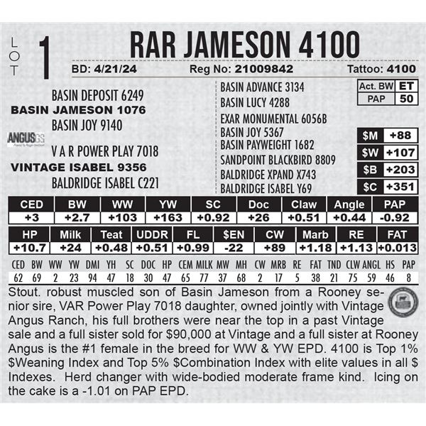 RAR Jameson 4100