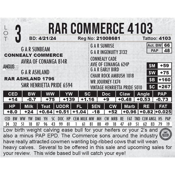 RAR Commerce 4103