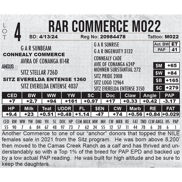RAR Commerce M022