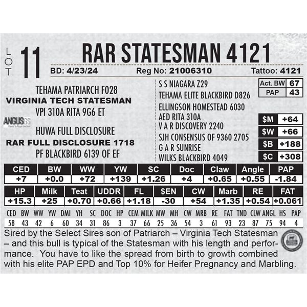 RAR Statesman 4121