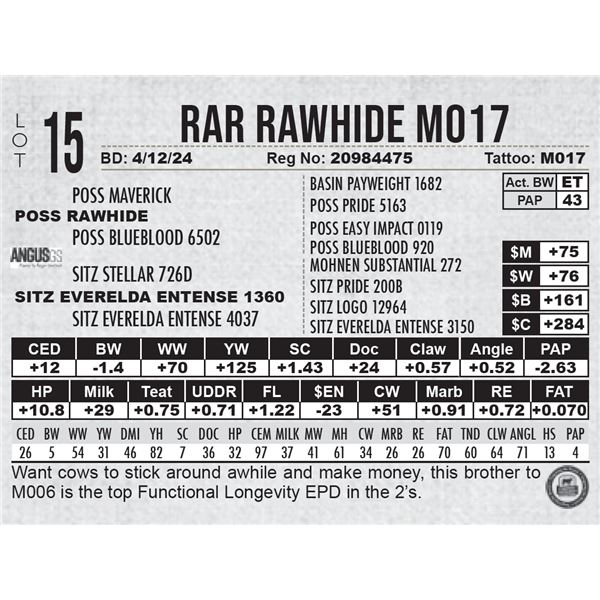 RAR Rawhide M017