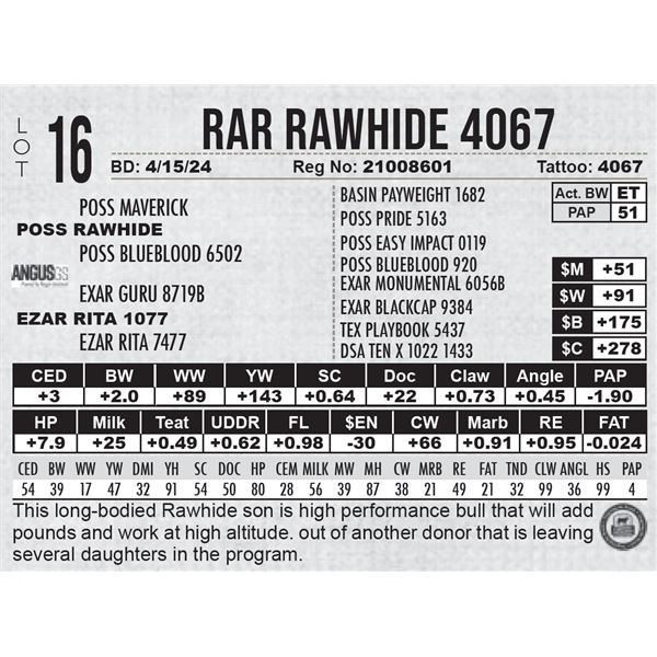 RAR Rawhide 4067