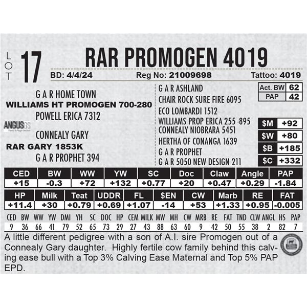 RAR Promogen 4019