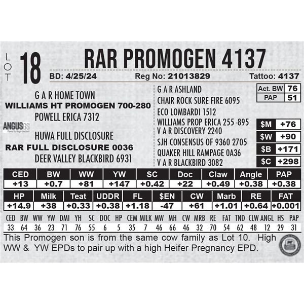 RAR Promogen 4137