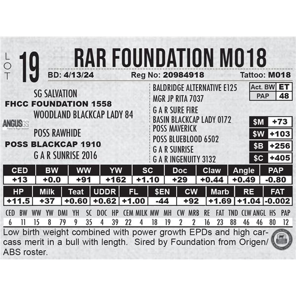 RAR Foundation M018