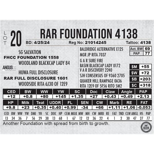 RAR Foundation 4138