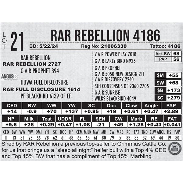 RAR Rebellion 4186