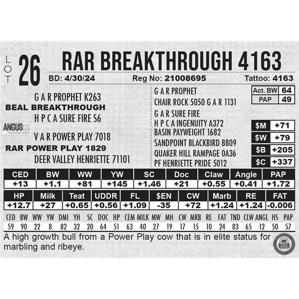 RAR Breakthrough 4163