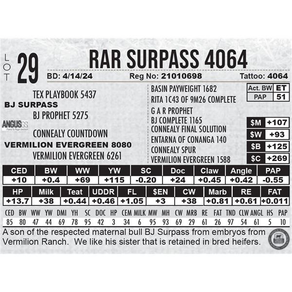 RAR Surpass 4064