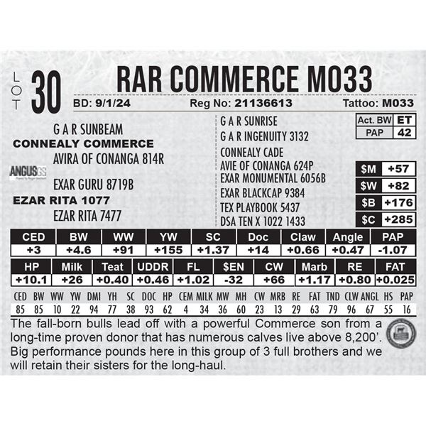 RAR Commerce M033