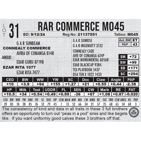 RAR Commerce M045