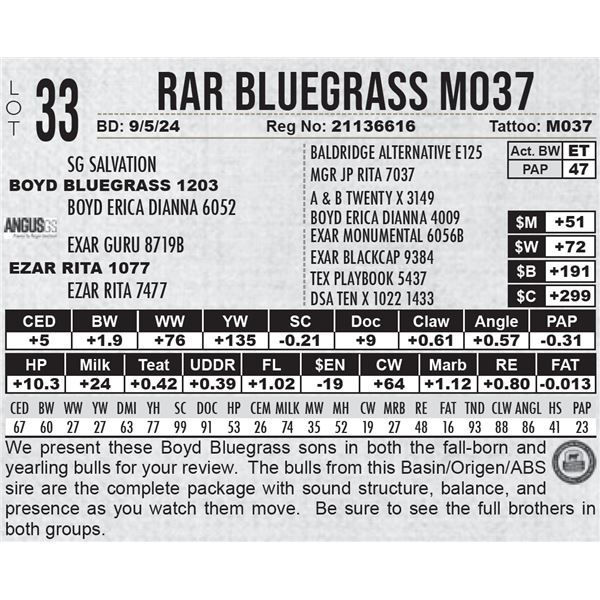 RAR Bluegrass M037