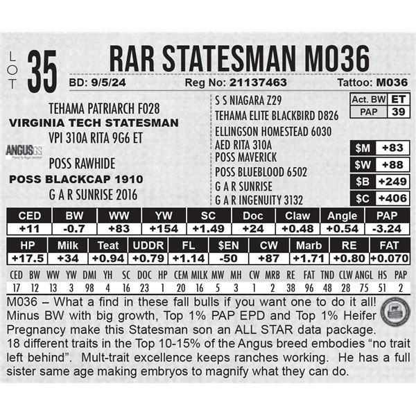 RAR Statesman M036
