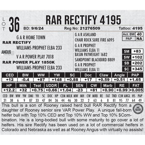 RAR Rectify 4195