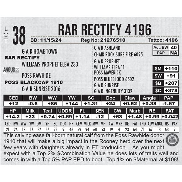 RAR Rectify 4196