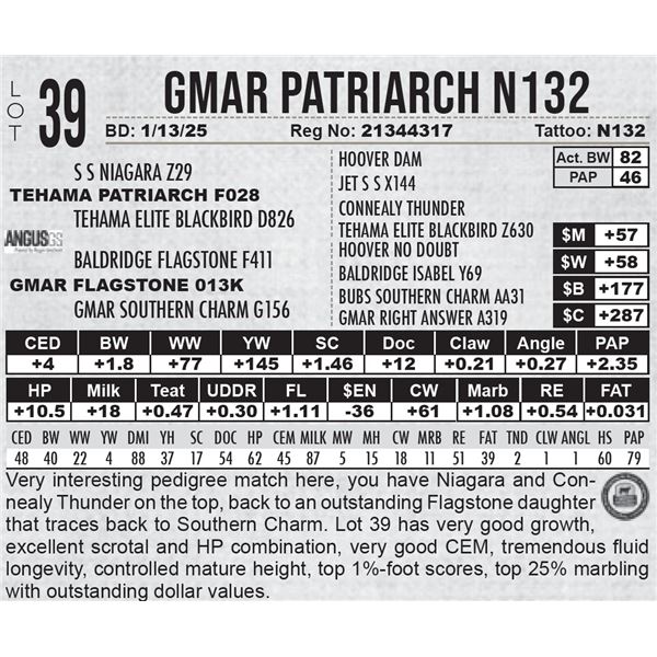GMAR Patriarch N132