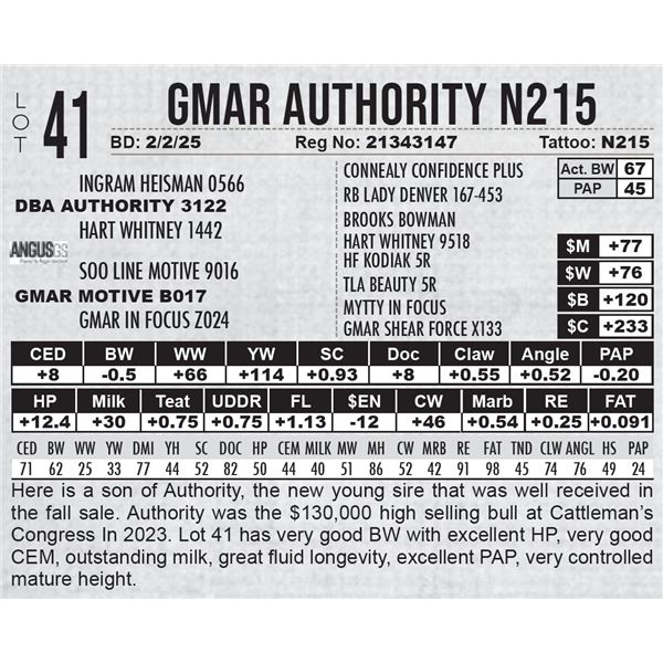 GMAR Authority N215