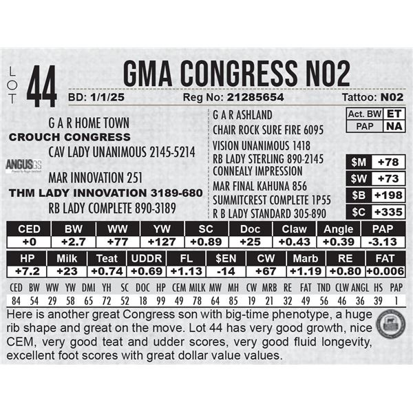 GMA Congress N02