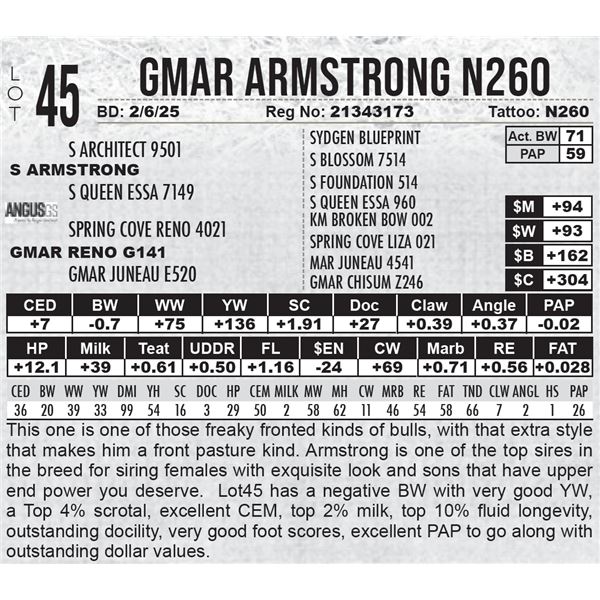 GMAR Armstrong N260