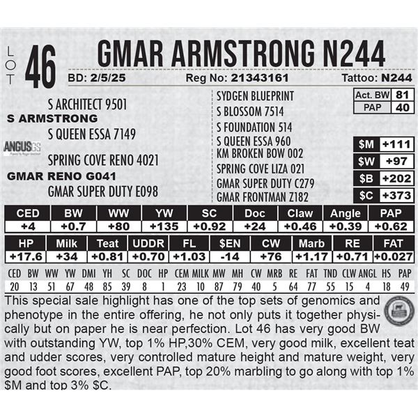 GMAR Armstrong N244
