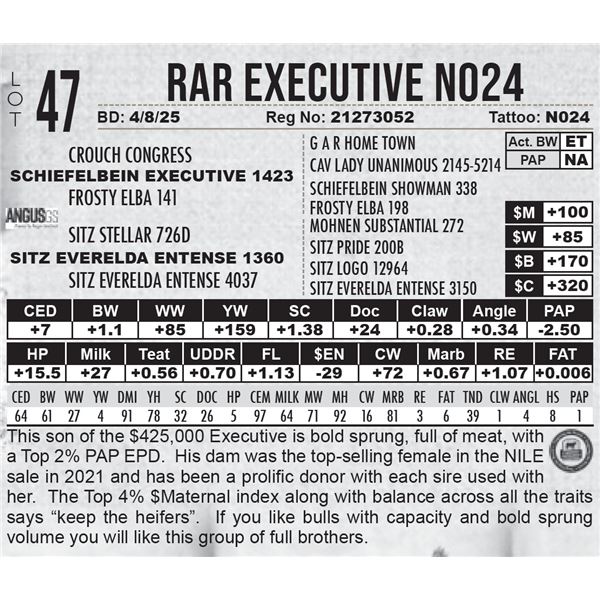 RAR Executive N024
