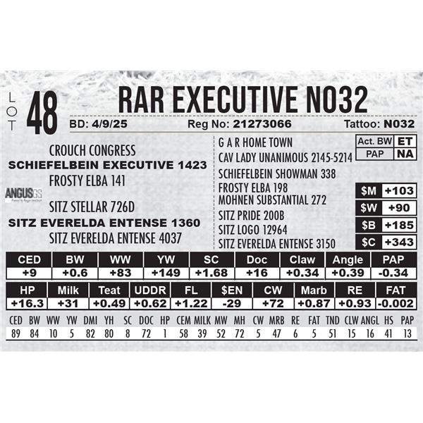 RAR Executive N032
